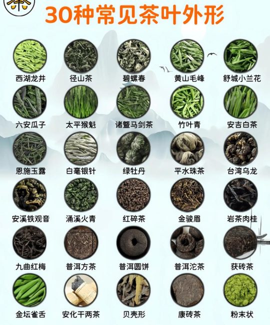 茶叶有哪几种？一文读懂中国六大茶类的区别与选择