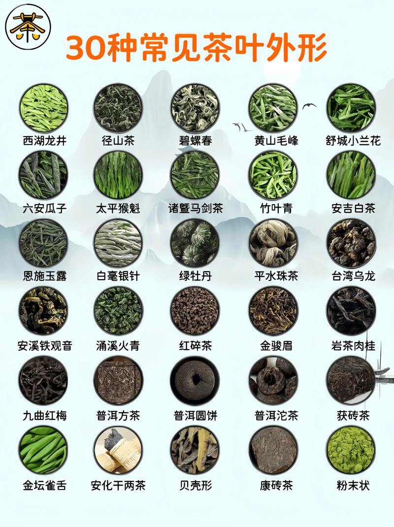 茶叶有哪几种?一文读懂中国六大茶类的区别与选择 茶叶有哪几种?一文读懂中国六大茶类的区别与选择