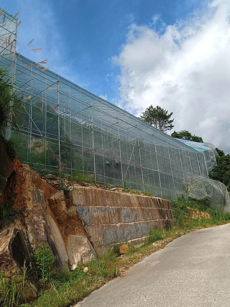 宁夏能种杨梅吗?露地难成活,设施栽培有方法 四、栽植深度