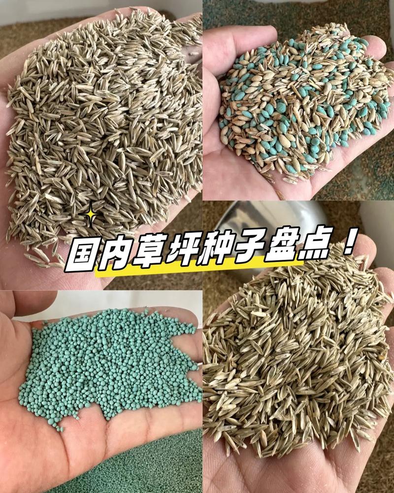 草籽1斤种多少平方米?常见草坪品种播种量速查与计算指南 总结:记住这个核心公式,以后不再问“1斤种多大”