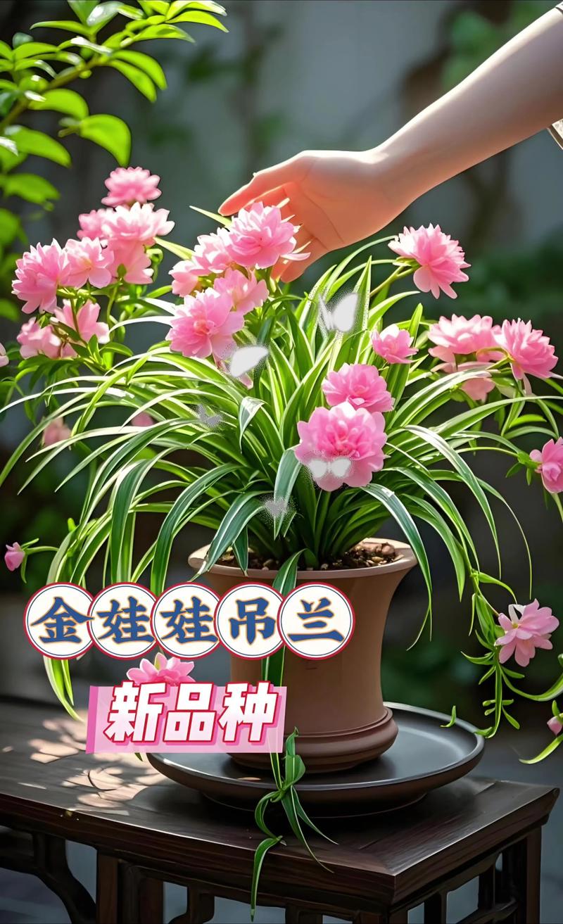 你买到手的可能是什么？