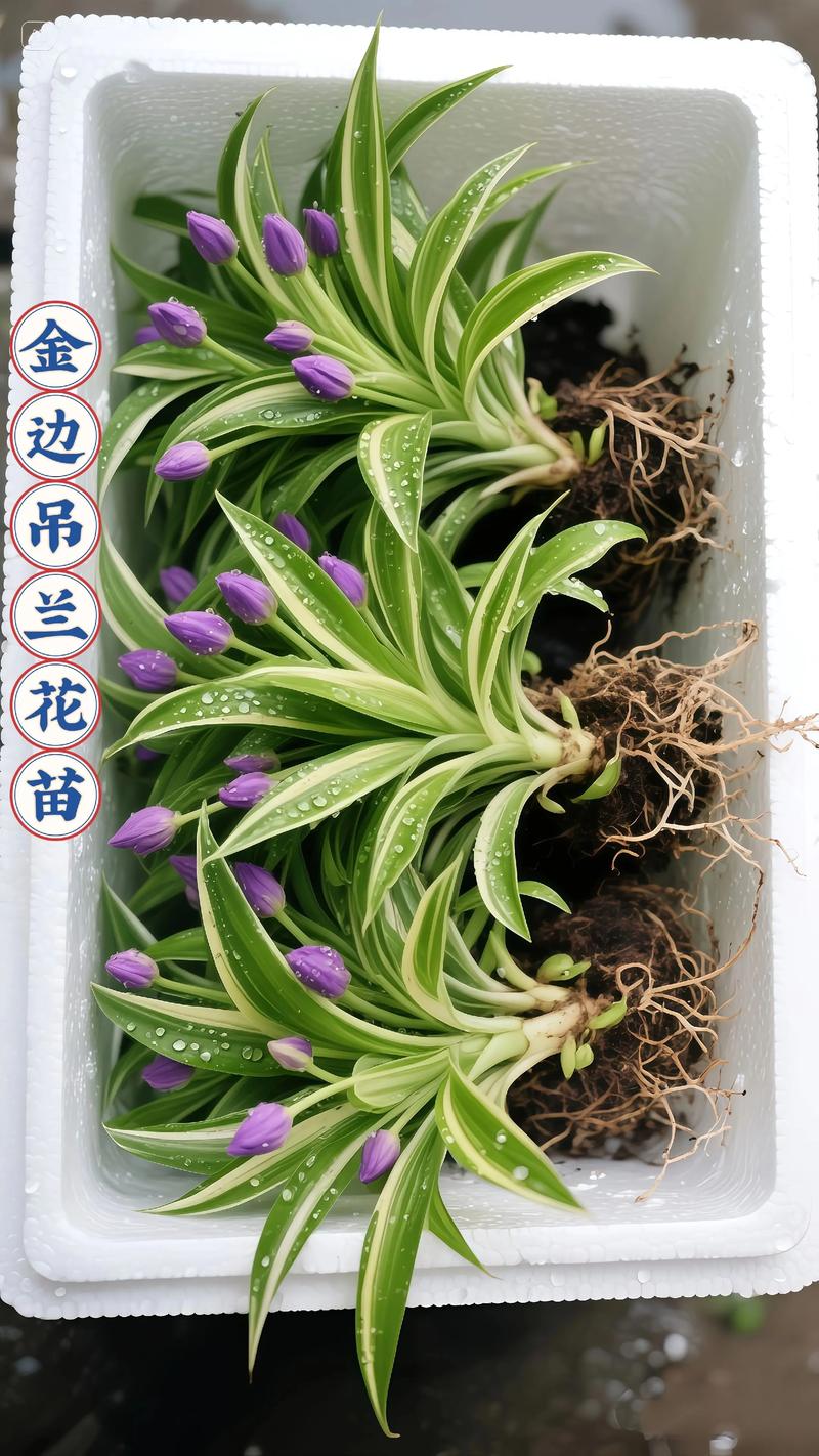 写在最后