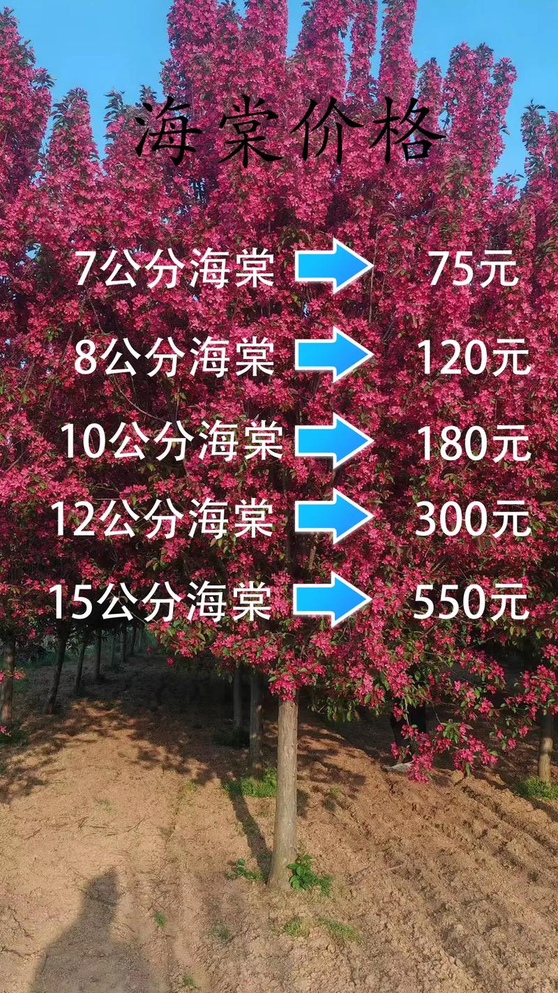 7公分海棠树多少钱?2026年市场价格参考与影响因素全解析 运输影响:运费占多少?