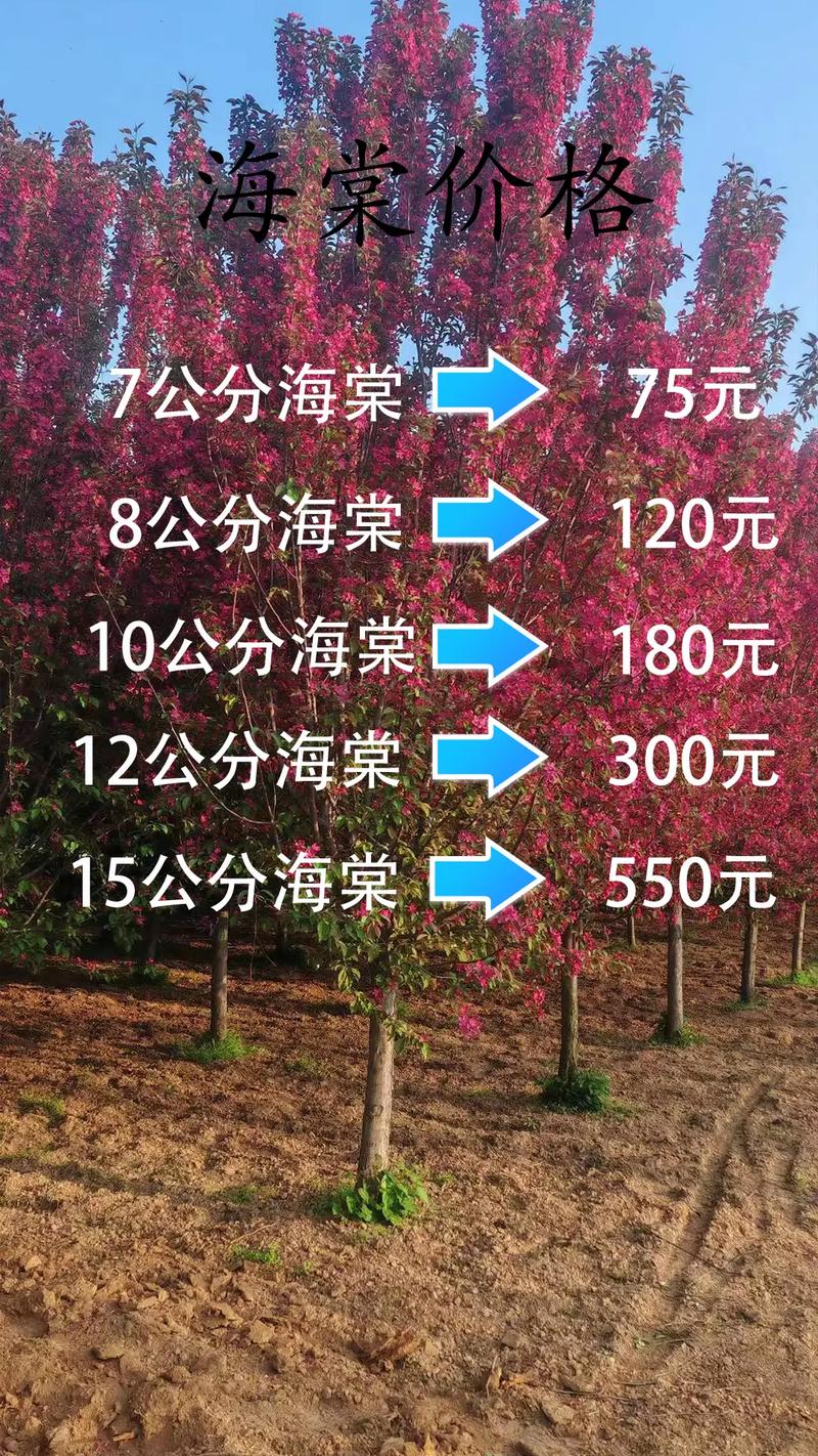 7公分海棠树多少钱?2026年市场价格参考与影响因素全解析 常见问题(FAQ)