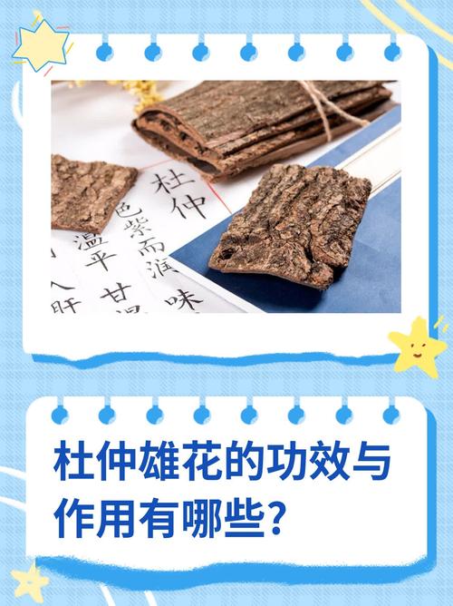 杜仲雄花用量多少克?园艺种植与健康用法解析 三、园艺种植小贴士