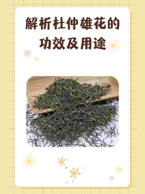 杜仲雄花用量多少克?园艺种植与健康用法解析 二、杜仲雄花用量多少克?科学参考