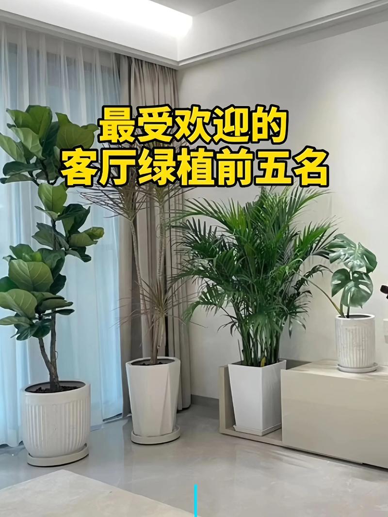一、世界级“摩天大树”排行榜