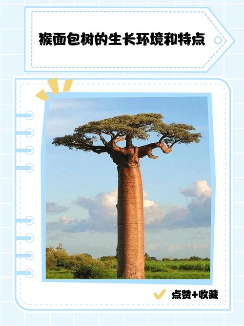结语：敬畏自然，合理规划