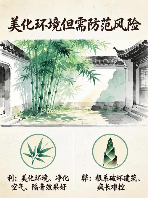 院子内能种竹子吗?——科学评估与种植指南 三、详细种植方案