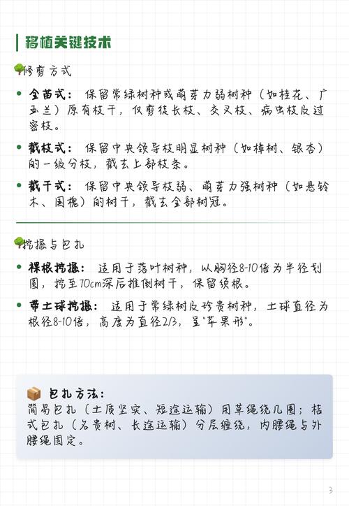 树木移栽伤根怎么办?伤根后的急救与种植技术指南 三、栽前处理:伤根修剪是成活关键