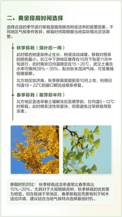 树木移栽伤根怎么办?伤根后的急救与种植技术指南 二、土壤环境:根系伤口最怕板结和积水