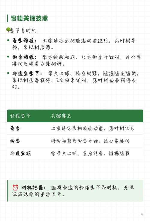 树木移栽伤根怎么办?伤根后的急救与种植技术指南 四、栽植深度:宁浅勿深,根颈必须透气