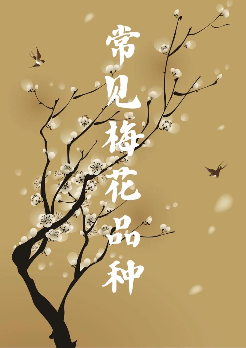 一、按种系分类：三大系统的划分