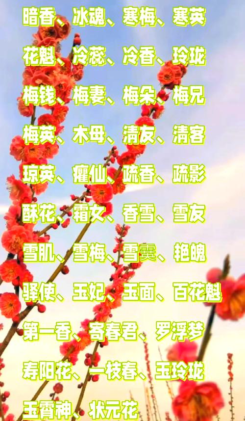 三、从赏梅到园艺：品种怎么选？