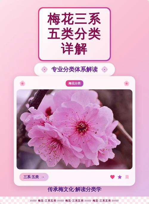 结语