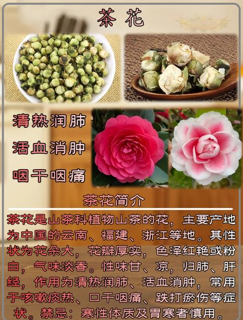 越冬与越夏管理