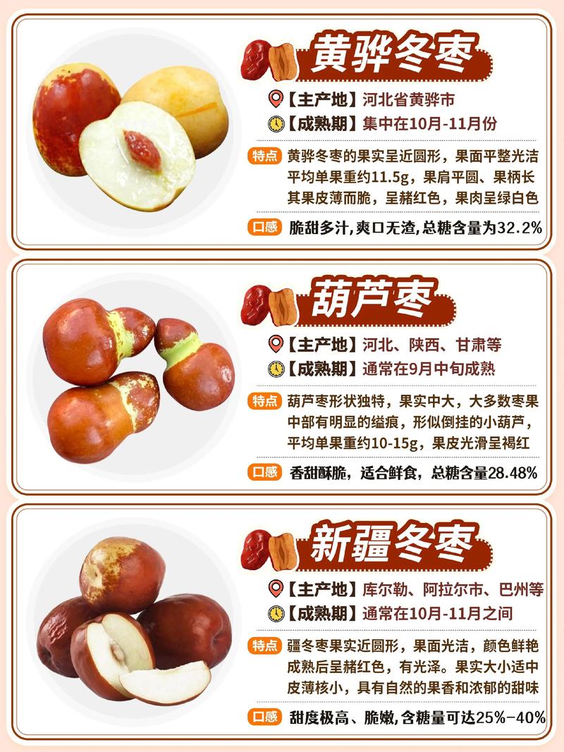红枣有多少种?园艺专家带你认识红枣的丰富品种 二、按产地与树形特征分类