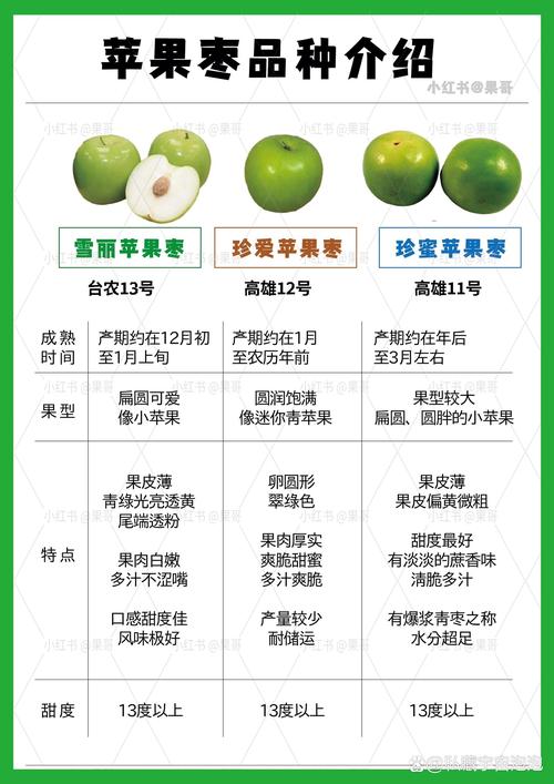 红枣有多少种?园艺专家带你认识红枣的丰富品种 五、常见误区与建议