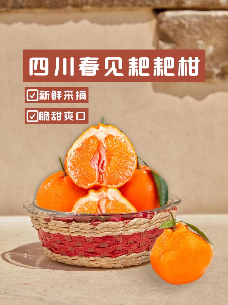 耙耙柑品种全解析:春见、不知火、沃柑多维对比与选购指南 一、品种对比总表