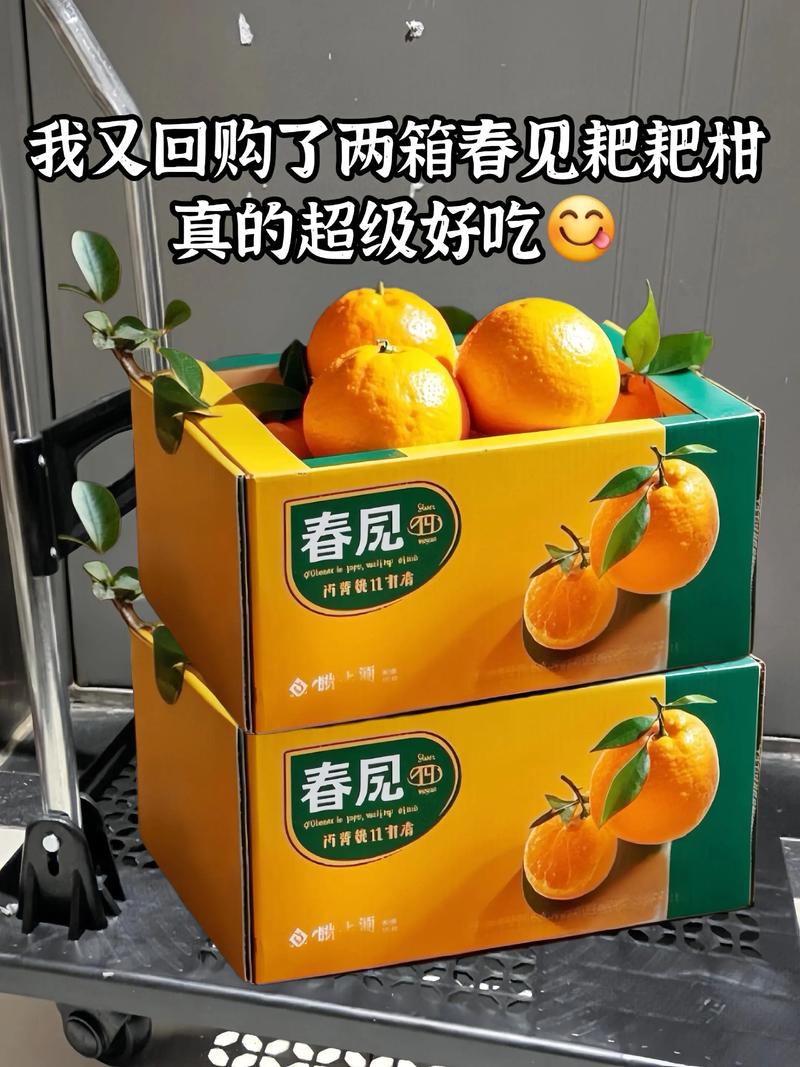 耙耙柑品种全解析:春见、不知火、沃柑多维对比与选购指南 二、各维度逻辑解释
