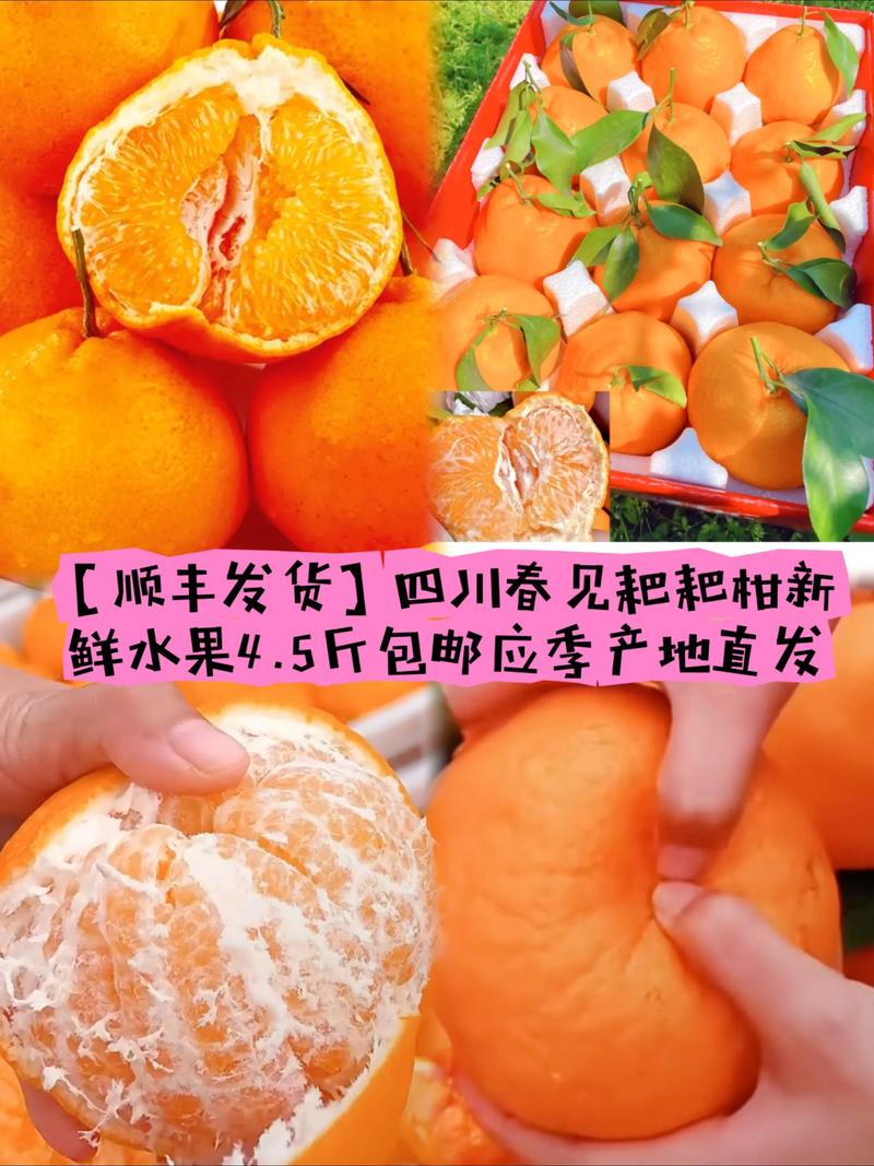 耙耙柑品种全解析:春见、不知火、沃柑多维对比与选购指南 四、总结