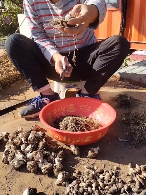 2. 土壤环境