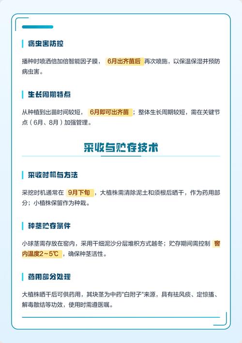 6. 缓苗管理