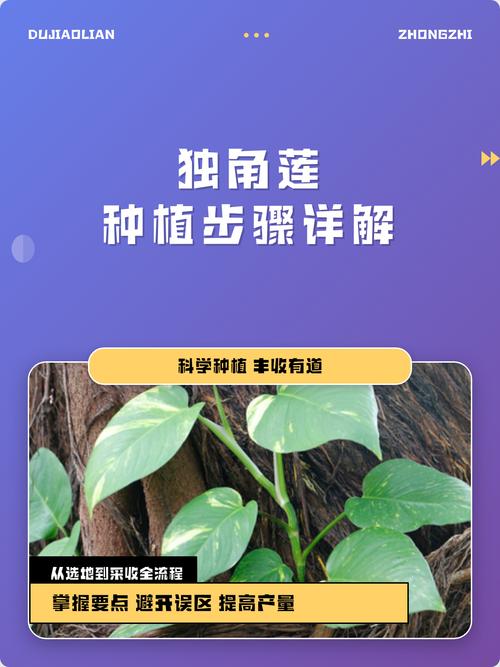 5. 浇定根水