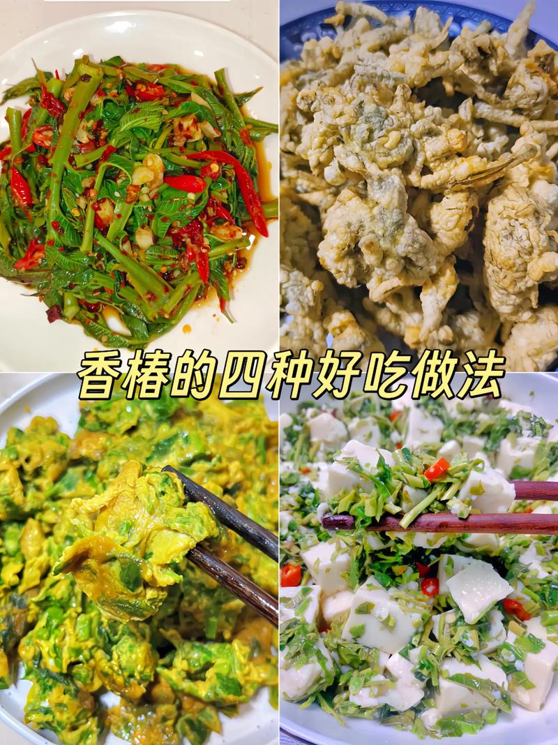 香椿苗怎么炒好吃?掌握这3个技巧,鲜嫩入味不苦涩 三、小贴士:让香椿苗更好吃的3个细节