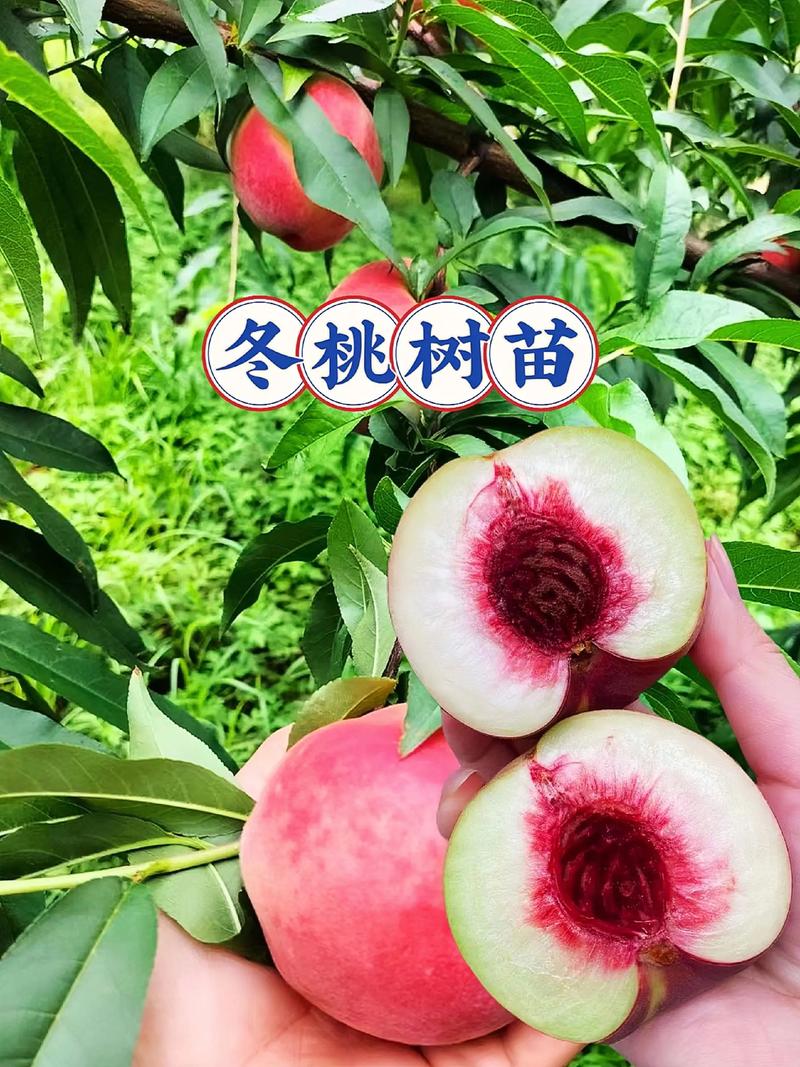 渠道选择四步法：从品种核查到售后审核