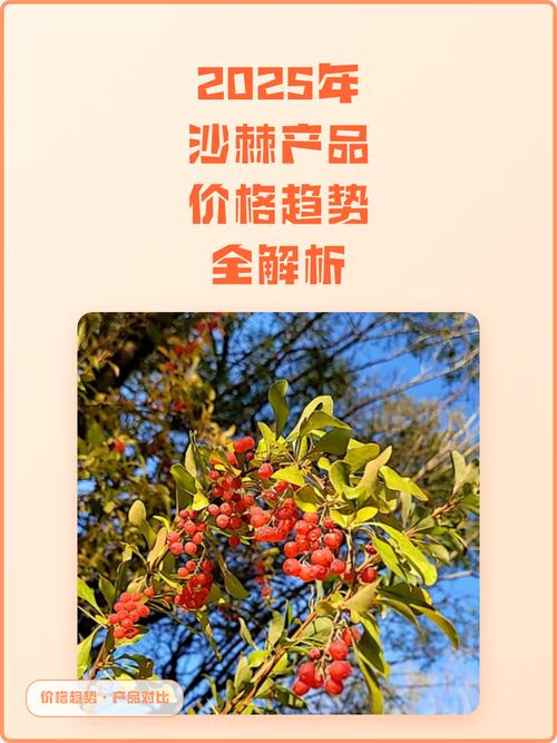 沙棘种子多少钱?2025年最新市场参考价格与影响因素全解析 FAQ 常见问题