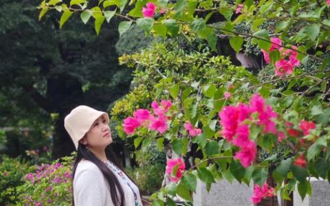 七点花开正好：那些清晨绽放的园艺精灵