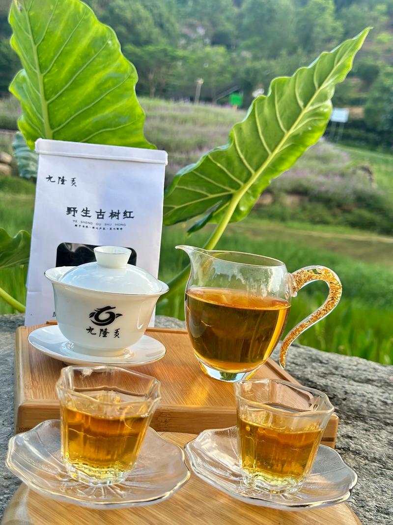 古树晒红,一种源自深山的阳光茶韵 如何冲泡与品饮?