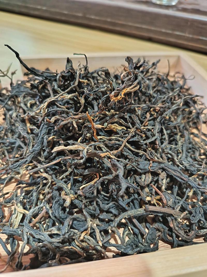 古树晒红,一种源自深山的阳光茶韵 园艺视角:古茶树与生态