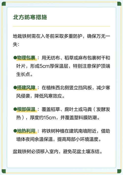 铁树冻得发黄了怎么办?冬季防寒与补救全攻略 二、发现冻黄后,第一步怎么处理?