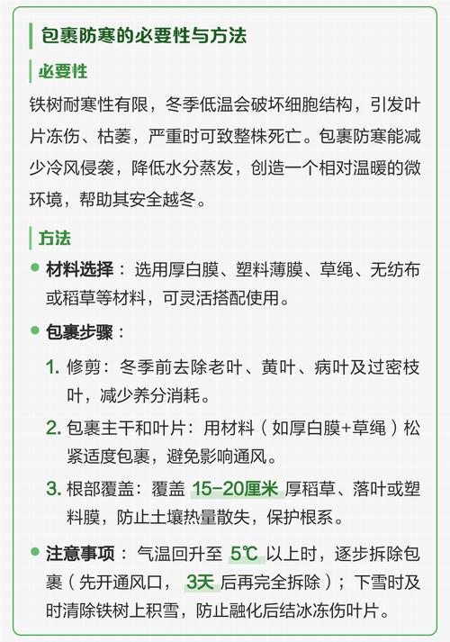 铁树冻得发黄了怎么办?冬季防寒与补救全攻略 三、如何帮助铁树恢复生机?