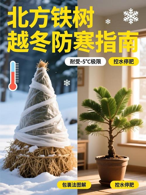 铁树冻得发黄了怎么办?冬季防寒与补救全攻略 五、常见问题解答