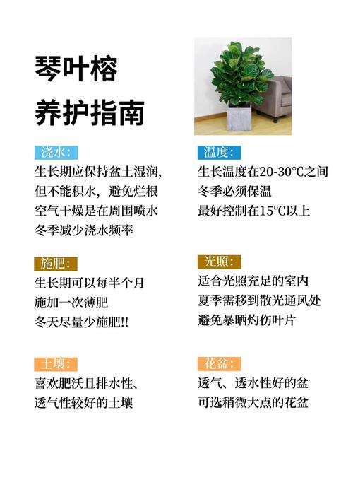 夏天种植树苗全攻略:选对品种 + 高温成活操作指南 七、成活注意事项:夏季易出问题与对策