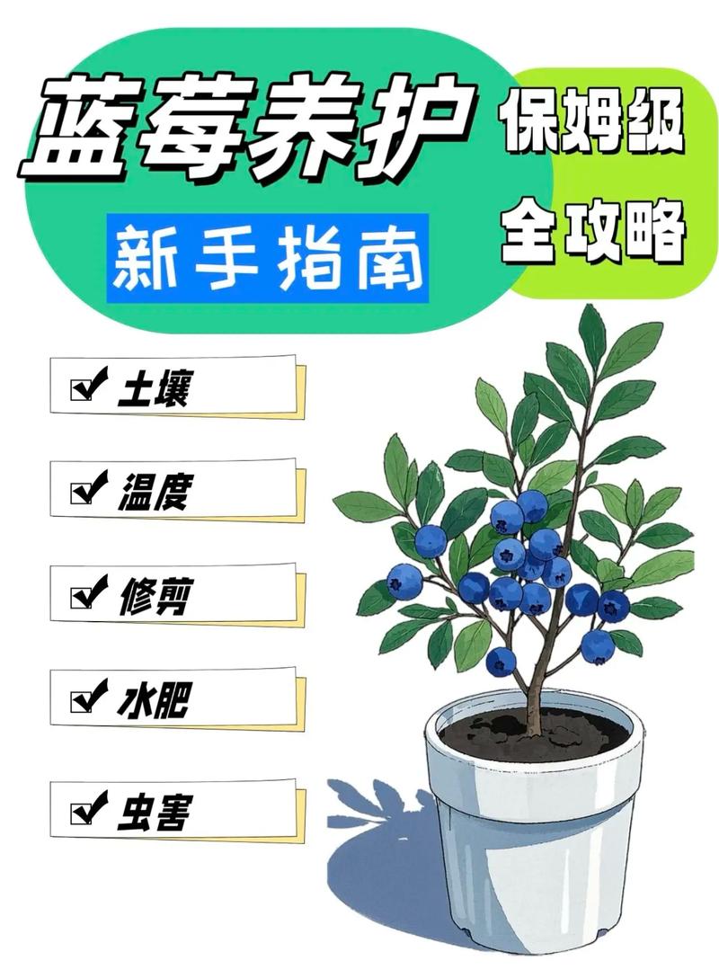七、成活注意事项