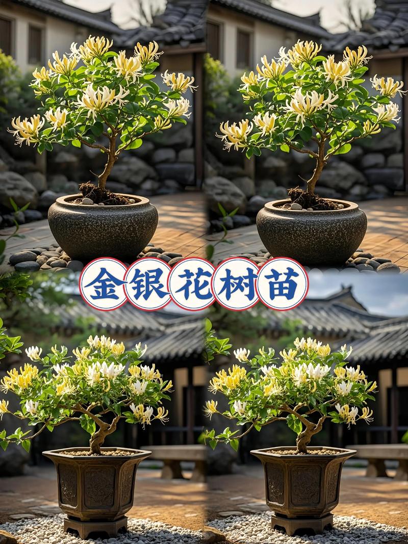 运输因素对价格的影响