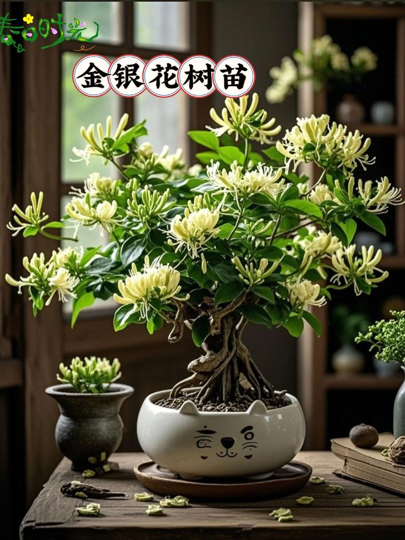 咨询指南