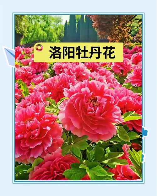 常见误区与纠正