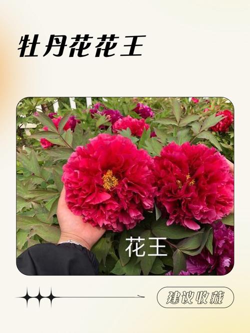 总结