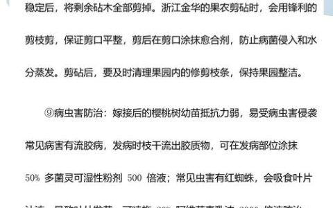 樱桃树嫁接最佳时间及成活率提升全攻略