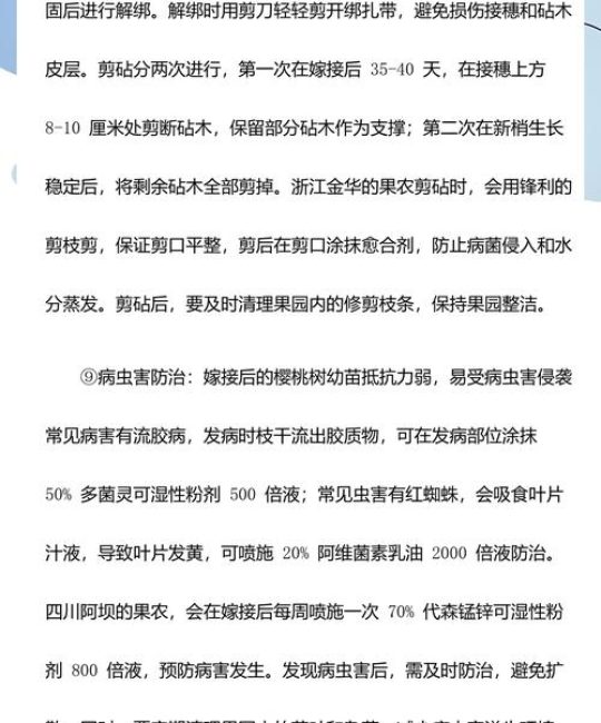 樱桃树嫁接最佳时间及成活率提升全攻略