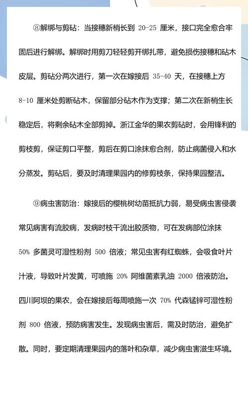 樱桃树嫁接最佳时间及成活率提升全攻略