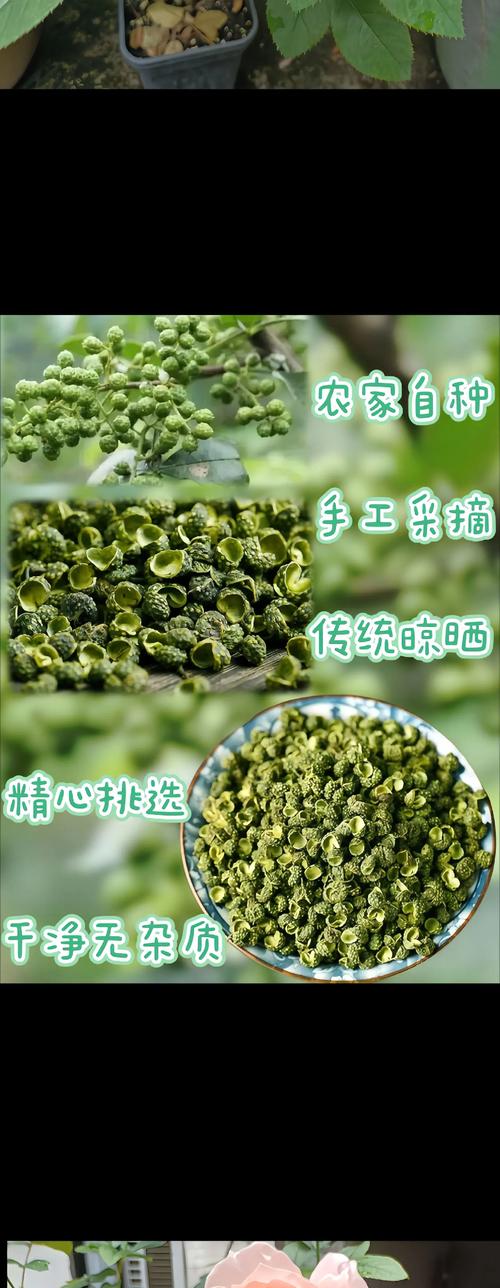 鲜青花椒怎么用?从挑选到入菜的完整指南 三、鲜青花椒的正确保存方法