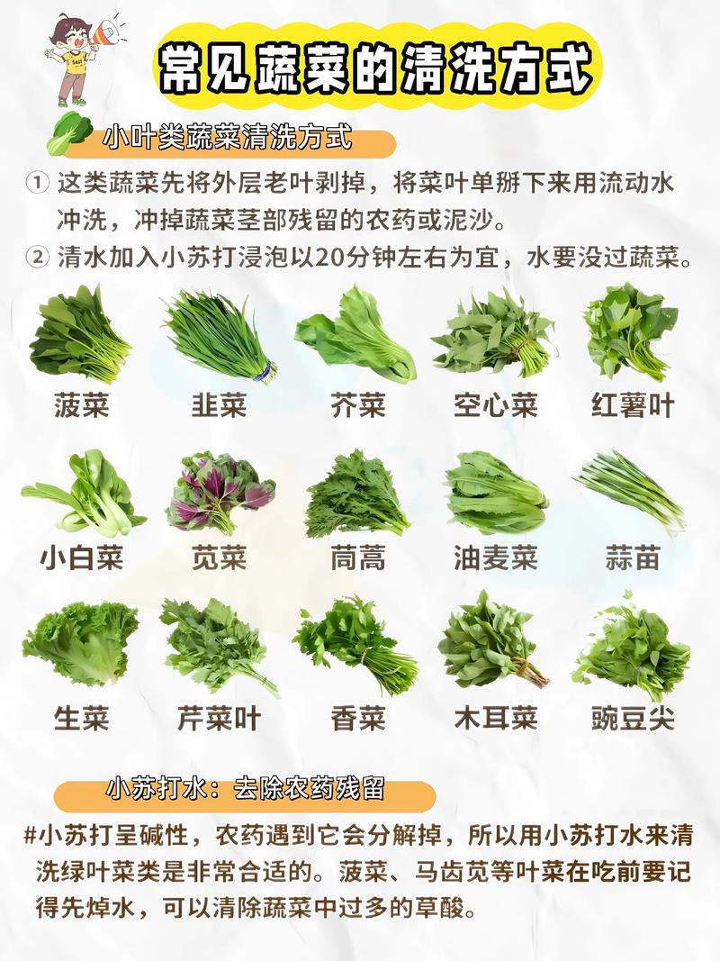 鲜青花椒怎么用?从挑选到入菜的完整指南 六、搭配技巧与注意事项