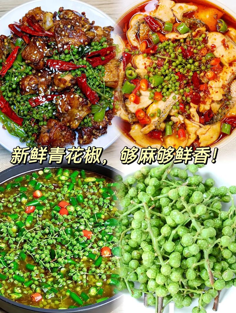 鲜青花椒怎么用?从挑选到入菜的完整指南 七、家庭种植小贴士(延伸)
