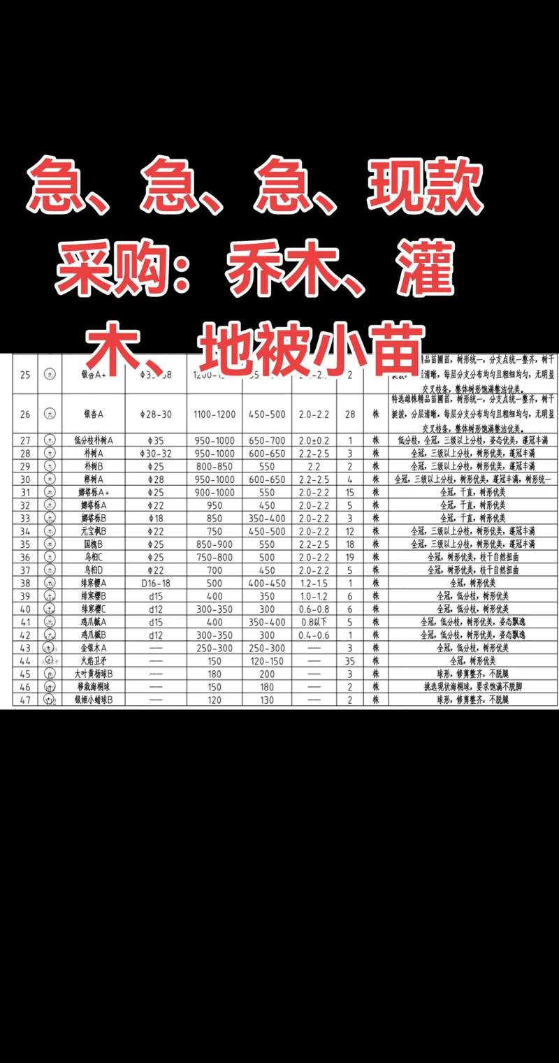 灌木是多少钱?2025年最新价格参考与影响因素分析 常见问题FAQ